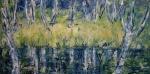 Břízy ( dramatická Borkovická blata ) Birches and Dramatic Landscape Borkovická Blata